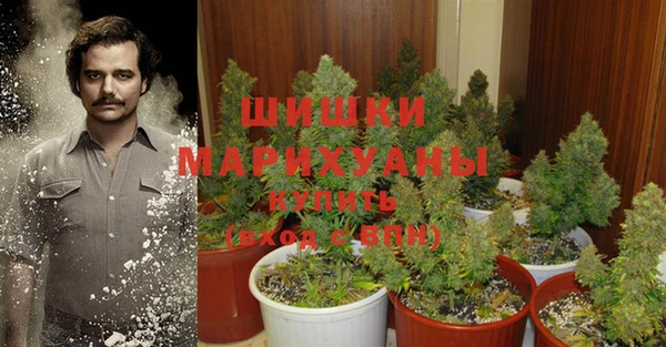 mdpv Пересвет