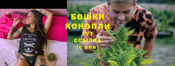 mdpv Волоколамск