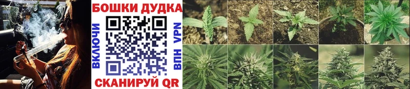 Бошки марихуана OG Kush  Карабаново 